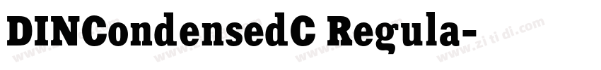 DINCondensedC Regula字体转换